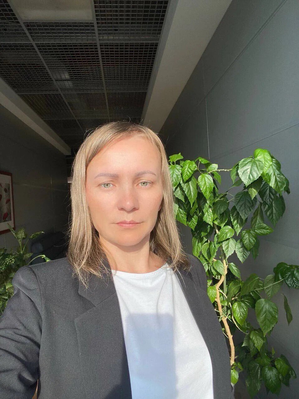 Изображение агента